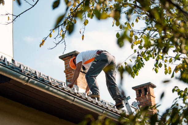 Best Emergency Roof Repair  in Evans City, PA
