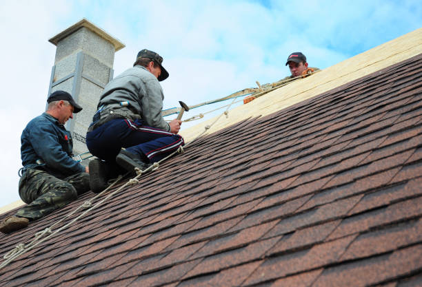 Best Storm Damage Roof Repair  in Evans City, PA