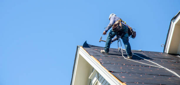 Best Flat Roof Repair Services  in Evans City, PA